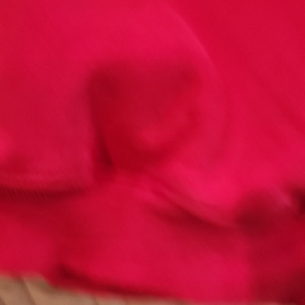 Champion/Supreme Vibrant Red Hoodie with Multicolor Logo - Picture 5 of 5
